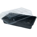 Growth Technology Propagator