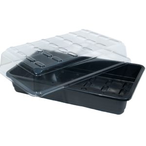 Growth Technology Propagator