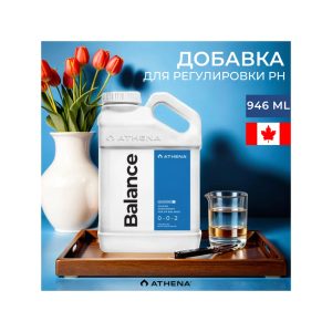 Athena Balance 946 мл