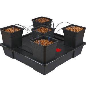Wilma Гидропонная система XXL 5 (pot 25 л)