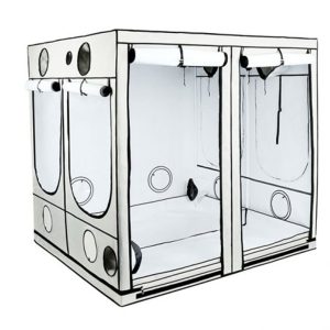HOMEbox Ambient Q 200