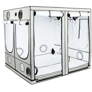 HOMEbox Ambient Q 240