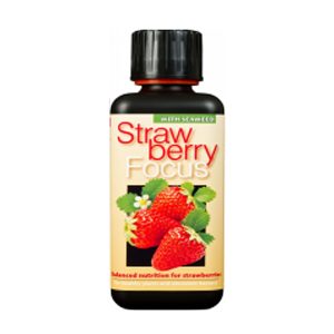 Growth Technology Strawberry Focus 300 мл