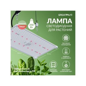 GreatPhar LED DZ22 250 Вт