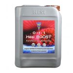 Hesi Boost 2.5 л