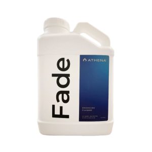 Athena Fade 3.8 л