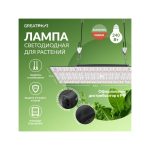 GreatPhar LED DZ32 240 Вт