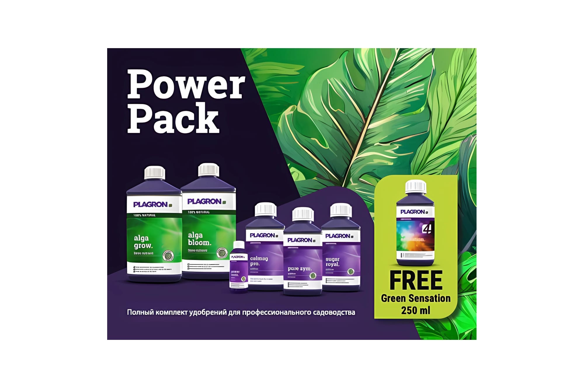 Plagron Power Pack Alga