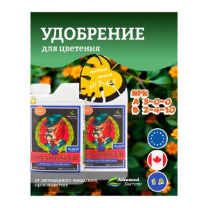 Advanced Nutrients Connoisseur Bloom A+B 1 л
