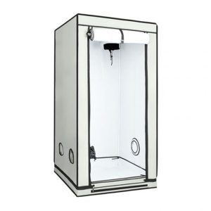 HOMEbox Ambient Q 80+