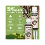 BioBizz Набор Root-Juice и CalMag 0.25 л
