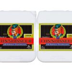 Advanced Nutrients Connoisseur Grow A+B 5 л