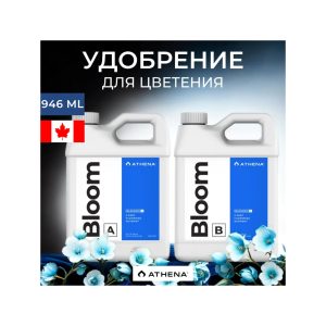 Athena Bloom A+B 946 мл