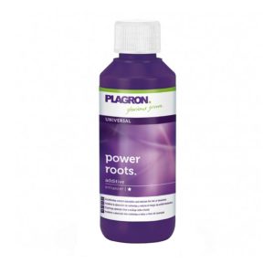 Plagron Power Roots 100 мл