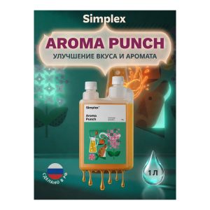Simplex Aroma Punch 1 л