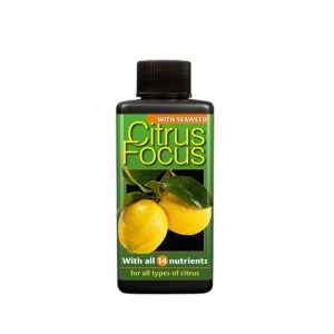 Growth Technology Citrus Focus 100 мл