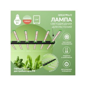 GreatPhar LED DZ33 640 Вт