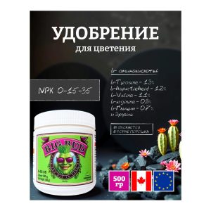 Advanced Nutrients Big Bud POWDER 500 г