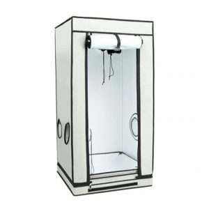 HOMEbox Ambient Q 60