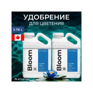 Athena Bloom A+B 3.78 л
