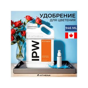 Athena IPW 946 мл