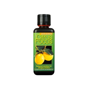 Growth Technology Citrus Focus 300 мл