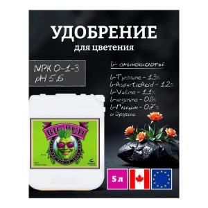 Advanced Nutrients Big Bud Liquid 5 л