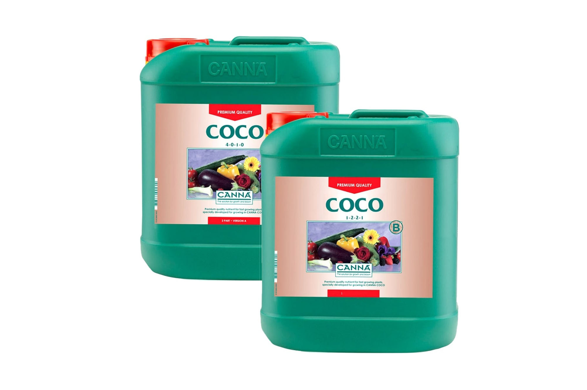 Canna Coco A+B 5 л