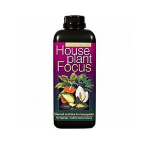Growth Technology Houseplant Focus 300 мл